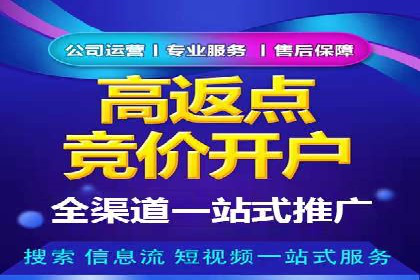 百度推广成功案例分析